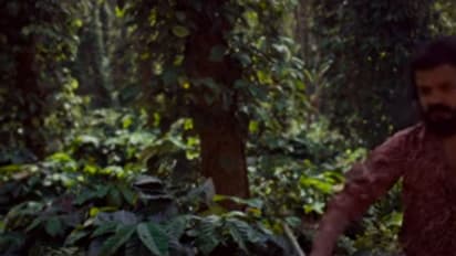 Chattambi : മറ്റൊരു കിടിലന് പാട്ടുമായി ശ്രീനാഥ് ഭാസി, 'ചട്ടമ്പി'യുടെ പ്രൊമോ ഗാനം