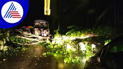 Chikkamagaluru: 16 ದಿನಗಳಿಂದ ಆರ್ಭಟಿಸಿದ್ದ ಮಳೆಗೆ ಓರ್ವ ಮಹಿಳೆ ಬಲಿ, ಇಬ್ಬರು ನಾಪತ್ತೆ!