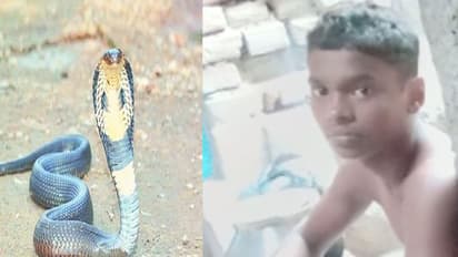 बिहार में अनोखा मामला: इस बच्चे को बार-बार काटता है सांप, ग्रामीणों ने जो बात बताई वो कर देगी हैरान