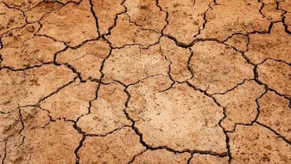 മഴയില്ല, ഇന്ദ്രദേവനെതിരെ നടപടിയെടുക്കണം എന്ന് കർഷകന്റെ പരാതി