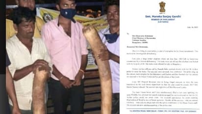 ಆನೆ ಕೊಂದು ದಂತ ಮಾರುತ್ತಿದ್ದವರ ರಕ್ಷಣೆಗೆ ನಿಂತ ಪ್ರಜ್ವಲ್ ರೇವಣ್ಣ? ಸೂಕ್ತ ತನಿಖೆಗೆ ಒತ್ತಾಯಿಸಿದ ಮೇನಕಾ ಗಾಂಧಿ!