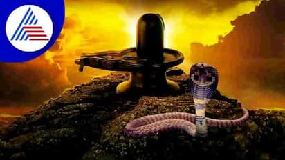 Nag Panchmi 2022: ಶ್ರಾವಣ ಸೋಮವಾರದಂದೇ ನಾಗರಪಂಚಮಿ! ಹಬ್ಬದ ದಿನಾಂಕ ಏನು?