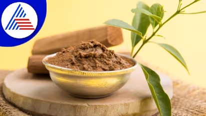 ಶ್ರೀಗಂಧ ಈ ರೀತಿ ಬಳಸಿ ಜೀವನದಲ್ಲಿ ಸಂತೋಷ, ಸಮೃದ್ಧಿ ಪಡೆಯಿರಿ 