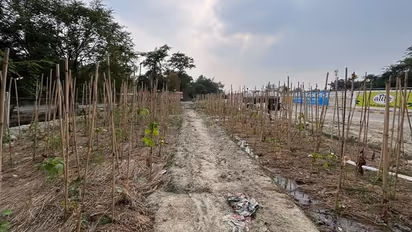 अयोध्या में प्रवेश करते ही नजर आएंगे रामायण काल के कलरफुल प्लांट, बंदर और तितलियों के लिए भी बनेगा आशियाना