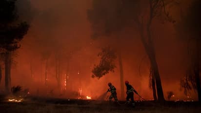 യൂറോപ്പില്‍ ഉഷ്ണതരംഗം; ഫ്രാന്‍സില്‍ 11,500 പേരെ ഒഴിപ്പിച്ചു, സ്പെയിനിലും പോര്‍ച്ചുഗലില്ലുമായി മരണം 1000
