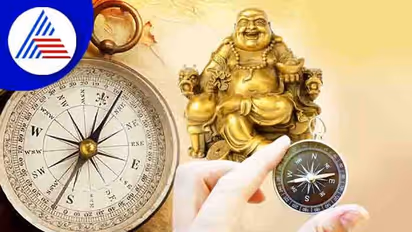 வீட்டின் வடக்கு திசையில் இந்த ஒரு பொருளை வைத்தால் போதும்...உங்களை பிடித்த பீடை, பிரச்சனை  அடியோடு விலகும்..