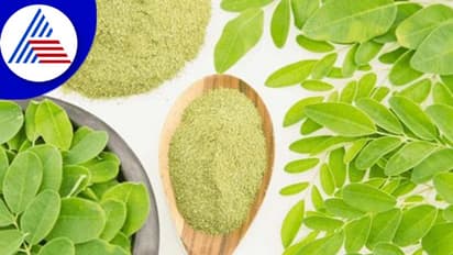 ಮಳೆಗಾಲದಲ್ಲಿ ಪುರುಷರು ನುಗ್ಗೇಸೊಪ್ಪು ತಿಂದ್ರೆ ಒಳ್ಳೇದಂತೆ