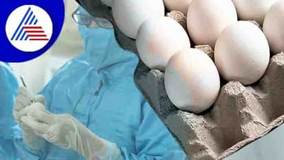 Egg : பச்சை முட்டையை குடிப்பது உடல் நலத்திற்கு நல்லதா? கெட்டதா?