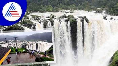 ಬೆಂಗಳೂರಿನಿಂದ ಜೋಗ ಜಲಪಾತಕ್ಕೆ ಕೆಎಸ್ಆರ್ಟಿಸಿ ಸ್ಪೆಷಲ್ ಪ್ಯಾಕೇಜ್ ಟೂರ್