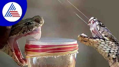 நாட்டிலேயே முதல் முறையாக விஷம் குறித்து படிப்பதற்கு கோவையில் புதிய படிப்பு அறிமுகம்