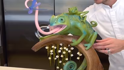 गिरगिट मां और बेटे का वीडियो सोशल मीडिया पर हुआ वायरल, यूजर्स ने पूछा- क्या ये रंग भी बदलते हैं