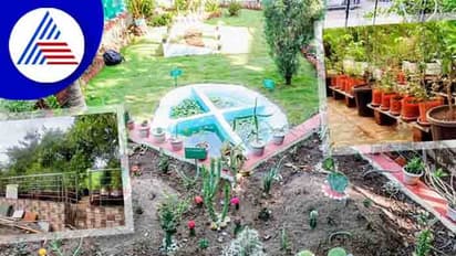 ತಾರಸಿ ತೋಟಕ್ಕೂ ಬಂತು ಕೋರ್ಸ್, ಇದೆ ಫುಲ್ ಡಿಮ್ಯಾಂ್