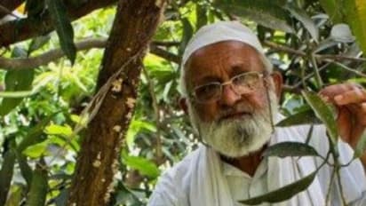 இந்தியாவின் மாம்பழ மனிதர் கலீம் உல்லா கான் ! ஒரே மாமரத்தில் 300 வகை மாம்பழங்கள் 