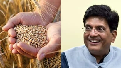 കേരളത്തിന്റെ ഗോതമ്പ് വിഹിതം വെട്ടിക്കുറച്ചത് സംസ്ഥാന സർക്കാർ അറിഞ്ഞെന്ന് കേന്ദ്രം