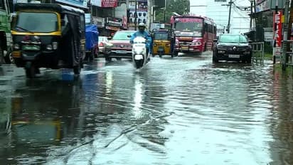 rajasthan weather:प्रदेश में नहीं थमेगा बारिश का दौर, आज भी जारी रहेगी भारी बरसात, जाने अपने जिलें का हाल