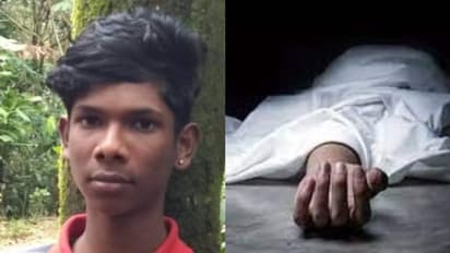 ഇടുക്കിയില്‍ സ്റ്റേ വയറില്‍ നിന്നും ഷോക്കേറ്റ് പ്ലസ് ടു വിദ്യാർത്ഥി മരിച്ചു 