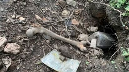 महिला के बगीचे में रोज रात को होती थीं डरावनी हरकतें.. सुबह मिलते मरे इंसानों के अंग, सामने आई अजीब बात 