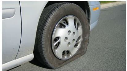 പ്രകൃതിക്ക് ഭീഷണി, എസ്‍യുവികളുടെ ടയറിലെ കാറ്റഴിച്ചുവിട്ട് പരിസ്ഥിതി പ്രവര്‍ത്തകര്‍!