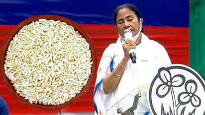 'আমাদের মুড়ি ফেরত দাও, নাহলে বিজেপি বিদায় নাও'- শহিদ দিবসের মঞ্চ থেকে তোপ মমতা বন্দ্যোপাধ্যায়ের