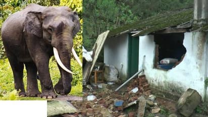 കാട്ടാനയുടെ ആക്രമണത്തില് നടുങ്ങി വിറച്ച് ദമ്പതികള്, വീട് തകര്ത്തു, സ്കൂളിൽ അഭയം തേടി