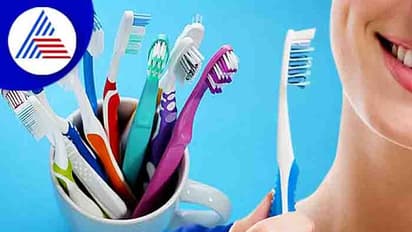 ಎಷ್ಟು ದಿನಗಳಿಗೊಮ್ಮೆ ಹಲ್ಲುಜ್ಜುವ ಬ್ರಷ್‌ ಬದಲಾಯಿಸ್ಬೇಕು?