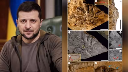 150 ദശലക്ഷം വർഷം പഴക്കമുള്ള ഫോസിൽ കണ്ടെത്തി, പേര് ഉക്രൈൻ പ്രസിഡണ്ട് സെലെൻസ്കിയുടേത്