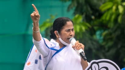 TMC won't back Margaret Alva, will abstain from vice presidential election