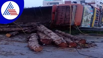 ಬೆಂಗಳೂರಿನಲ್ಲಿ ಭೀಕರ ರಸ್ತೆ ಅಪಘಾತ: ಲಾರಿಯಲ್ಲಿದ್ದ ಮರದ ದಿಮ್ಮಿ ಬೈಕ್ ಮೇಲೆ ಬಿದ್ದು ಒಬ್ಬನ ಸಾವು