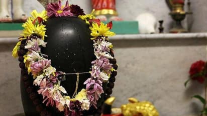 Sawan 2022: सावन में रोज ये 1 चीज शिवजी को चढ़ाने से कंगाल भी बन सकता है धनवान 