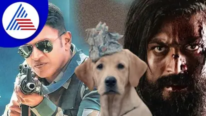 ಆರು ತಿಂಗಳಿನಲ್ಲಿ 110 ಚಿತ್ರಗಳು; 3 ಗೆಲುವು ನಿರಾಶೆ ಹಲವು!