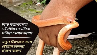 কিছু কারণ বশত এই প্রতিবেদনটিকে এখান থেকে সরিয়ে নেওয়া হয়েছে, স্টোরির নতুন লিংক পেতে ভিতরে যান