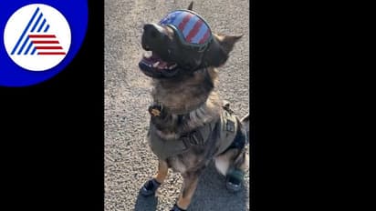 ಕಣ್ಣಿಗೆ ಕೂಲಿಂಗ್ ಗ್ಲಾಸ್‌ ಕಾಲಿಗೆ ಶೂಸ್‌: ಶ್ವಾನದಳಕ್ಕೆ ವಿಶೇಷ ಸವಲತ್ತು