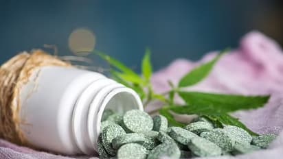 भांग खाने वाला नहीं करता rape-मर्डर या डकैती! BJP MLA का दावा, बोले-सरकार दे भांग को बढ़ावा