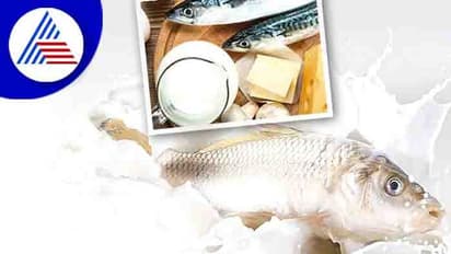 Milk: பாலை காய்ச்சாமல் குடிக்கலாமா? அப்படி குடித்தால் உடலில் என்ன மாற்றம் நிகழும்..!..நிபுணர்கள் விளக்கம்....