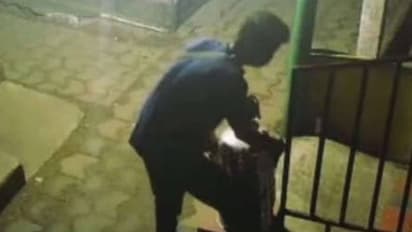 പണി പതിനെട്ടും പൊട്ടി, മോഷണശ്രമം പാളി രോഷത്തോടെ മടങ്ങിയ കള്ളൻ സിസിടിവിയിൽ കുടുങ്ങി