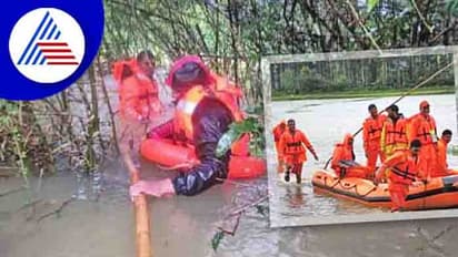 ಸತತ 6 ಗಂಟೆ ಕಾರ್ಯಾಚರಣೆ ಬಳಿಕ ಗ್ರಾಮಕ್ಕೆ ವಿದ್ಯುತ್‌ ಮರು ಸಂಪರ್ಕ