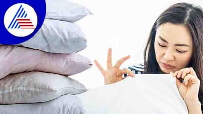 ಬೆಡ್‌ಶೀಟ್‌ ಬದಲಾಯಿಸ್ತೀರಾ ನಿಜ, ತಲೆದಿಂಬು ಚೇಂಜ್‌ ಮಾಡಿದ್ದೀರಾ ?