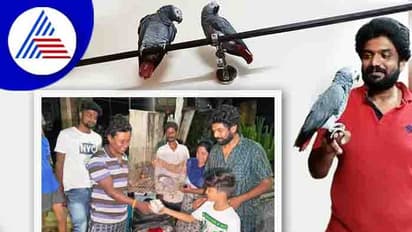 ಮರಳಿ ಗೂಡಿಗೆ ಬಂದ ಗಿಳಿ: ಪತ್ತೆ ಹಚ್ಚಿದವರಿಗೆ ಸಿಕ್ತು 85 ಸಾವಿರ ಬಹುಮಾನ!