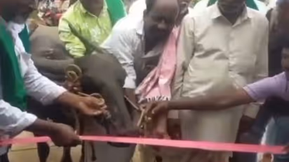 गांव वालों ने नेताओं और अफसरों की कर दी फुल बेइज्जती, खुद से बनवाई ये चीज और भैंस से कटवाया फीता