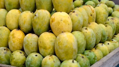 Uttar Pradesh News: దారుణం.. మామిడి పండు కావాలని మేనకోడలు మారాం.. పీక కోసి హత్య చేసిన మేనమామ