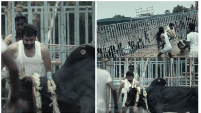 முட்ட பாயும் காளை.. எகிறி ஓடும் சூர்யா.. ஏறுதழுவ பயிற்சி பெற்ற வீடியோவை வெளியிட்ட 'வாடிவாசல்'  படக்குழு!