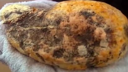 मछुआरों को समुद्र में मिली वो चीज.. जो बना सकती थी मालामाल, जिंदगीभर नहीं करते काम, मगर देनी पड़ी सरकार को 