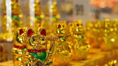 ফেং শুই বিড়ালের এত উপকারিতা আগে জানতেন, আর্থিক সমস্যা কাটাতে ঘরে রাখুন এই রঙের বিড়াল