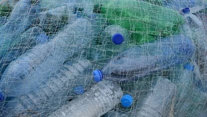 ഈ ക്ഷേത്രത്തിലേക്ക് സമർപ്പിക്കേണ്ടത് പൂക്കളോ, ചന്ദനത്തിരിയോ ഒന്നുമല്ല, പകരം പ്ലാസ്റ്റിക്!