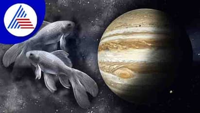 ಮೀನ ರಾಶಿಯಲ್ಲಿ ಗುರು ವಕ್ರಿ: ಯಶಸ್ಸಿಗಾಗಿ ಯಾವ ರಾಶಿ ಏನು ಮಾಡಬೇಕು?