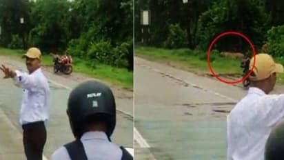 കടുവയെ റോഡ് മുറിച്ച് കടക്കാൻ സഹായിച്ച് ട്രാഫിക് പൊലീസുകാരൻ, വൈറലായി വീഡിയോ