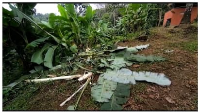 കാട് കയറാതെ ആനകള്, കൃഷികള് നശിപ്പിക്കുന്നു, പൊറുതിമുട്ടി കോതപാറക്കാര്