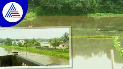 ಮಳೆ ಏರುಪೇರು; ತಲೆಕೆಳಗಾದ ರೈತರ ಲೆಕ್ಕಾಚಾರ!