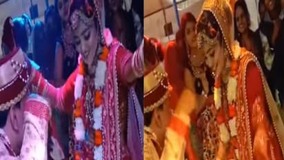 पहले दूल्हे के सामने शर्माती नजर आई दुल्हन, फिर किया कुछ ऐसा, लोग बोले- पूरी फैमिली के सामने ऐसा करना गलत है