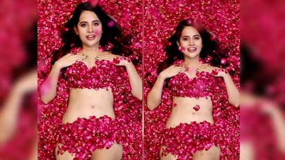 রণবীরের পর নগ্ন হলেন উরফি, গোলাপের পাপড়ি দিয়ে গোপনাঙ্গ ঢেকে পাগল করলেন ভক্তদের, ছবি ভাইরাল